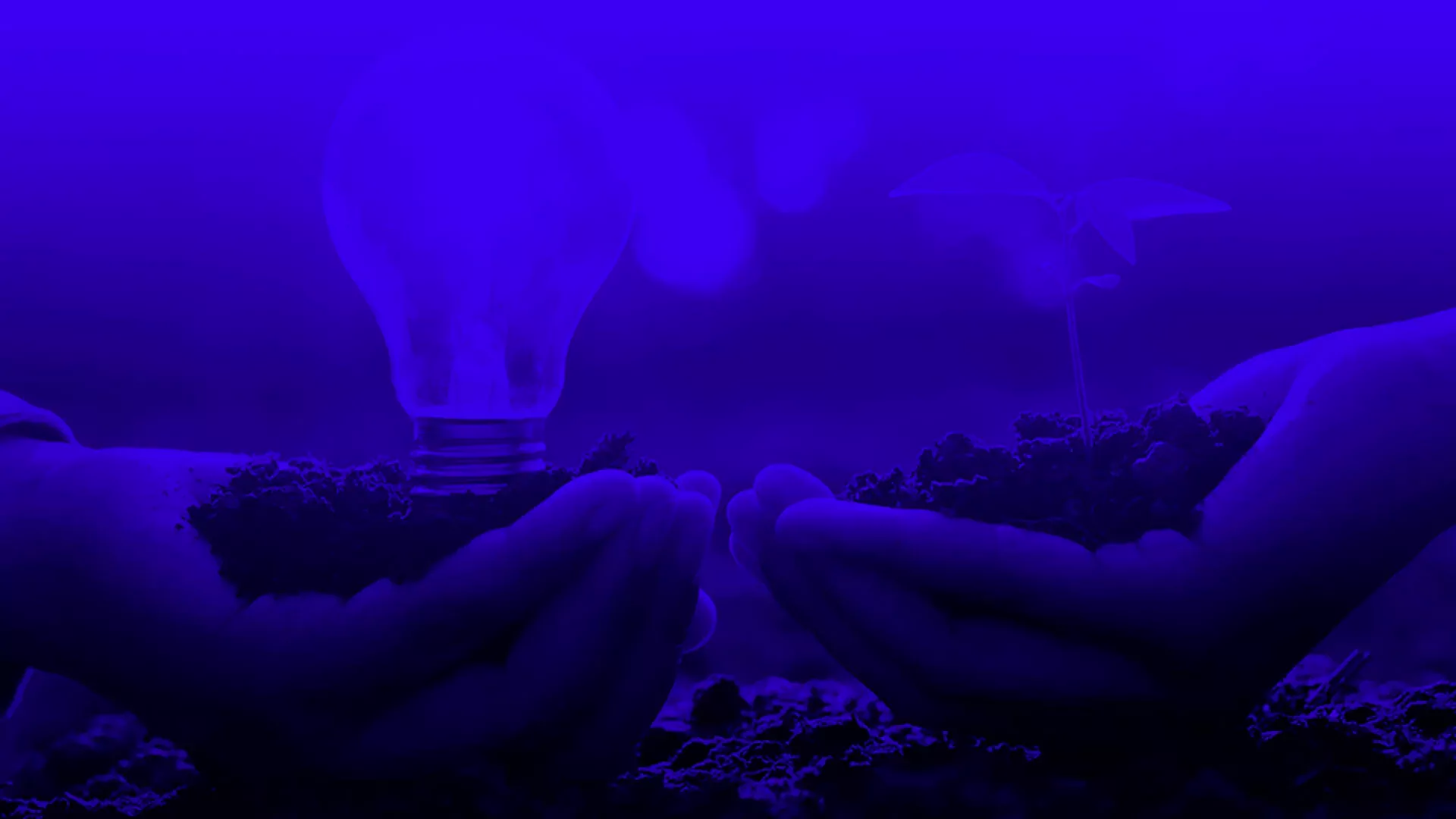 stoplossenergy.fr